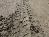 Small car, big tracks &middot; Aruba &middot; January 30, 2011 &middot; Marlene Friedlander