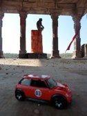 Monkey ’n Around &middot; Ranthambore, India &middot; December 22, 2010 &middot; Carla Wendy