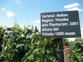 San Huberto winery  &middot; Mendoza, Argentina &middot; January 3, 2011 &middot; Tammy Duong
