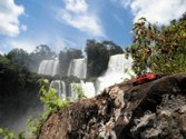 Iguazu Falls  &middot; Argentinean Side &middot; January 6, 2011 &middot; Tammy Duong