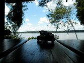 Parque Nacional Do Iguacu &middot; & butterfly - Brazil &middot; January 7, 2011 &middot; Tammy Duong