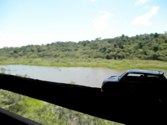 Cayman Lake  &middot; Parque Do Iguacu, Brazil &middot; January 7, 2011 &middot; Tammy Duong