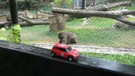 Blank Park Zoo &middot; Des Moines, Iowa &middot; July 9, 2012 &middot; Greg & Sherrie Savela