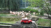 Blank Park Zoo &middot; Des Moines, Iowa &middot; July 9, 2012 &middot; Greg & Sherrie Savela