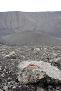 Hverfjall Crater &middot; Northern Iceland &middot; July 8, 2010 &middot; Joana Alexandre