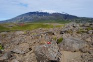 Snaefellsjokull Mountain &middot; Western Iceland &middot; July 10, 2010 &middot; Joana Alexandre