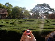 Green Labyrinth &middot; Nova Petropolis, Rio Grande do Sul - June 11, 2010 &middot; Thais Canfild