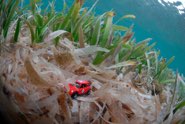 Exploring below &middot; San Blas, Panama &middot; July 18, 2010 &middot; Kike Calvo