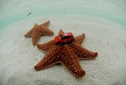 New Friends &middot; San Blas, Panama &middot; July 18, 2010 &middot; Kike Calvo