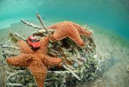 Taking a rest &middot; San Blas, Panama &middot; July 18, 2010 &middot; Kike Calvo