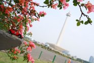 (Monas) National Monument &middot; Central Jakarta, Indonesia &middot; October 31, 2009 &middot; Yuki Cipta