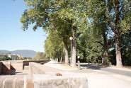 On the city wall &middot; Lucca, Italy &middot; August 2008 &middot; Deb Fiddelke