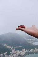 From Far Above &middot; Rio de Janeiro, Brazil &middot; September 9, 2008 &middot; Sahar Sepehri