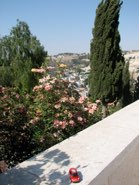 Old City of Jerusalem toward the Garden of Gethsemene &middot; June 25 2008 &middot; Shannon Kiser