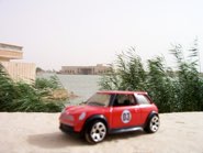 Ba’ath HQ &middot; Baghdad, Iraq &middot; June 18, 2008 &middot; Mandy