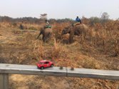 Rhino Translocation &middot; Chitwan Natl Park, Nepal &middot; March 23, 2016 &middot; Chris W.