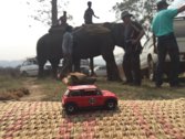 Rhino Translocation &middot; Chitwan Natl Park, Nepal &middot; March 23, 2016 &middot; Chris W.