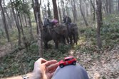 Rhino Translocation &middot; Chitwan Natl Park, Nepal &middot; March 23, 2016 &middot; Chris W.