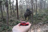 Rhino Translocation &middot; Chitwan Natl Park, Nepal &middot; March 23, 2016 &middot; Chris W.