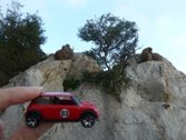 Monkeys of Gibraltar &middot; British Territory of Gibraltar &middot; December 26, 2015 &middot; Carla Wendy