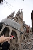 Sagrada Familia Church &middot; Barcelona, Spain &middot; December 20, 2015 &middot; Carla Wendy