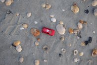 Beach Living! &middot; Myrtle Beach, South Carolina &middot; August 27, 2016 &middot; Ryan’s Mom