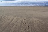 Beach living &middot; Las Penitas, Nicaragua &middot; February 18, 2015 &middot; Carole  Sherard