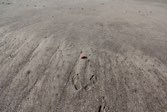 Beach living &middot; Las Penitas, Nicaragua &middot; February 18, 2015 &middot; Carole  Sherard