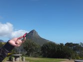 Climbing Lion’s Head Mt. &middot; Cape Town, South Africa &middot; August 22, 2014 &middot; Ashleigh Young
