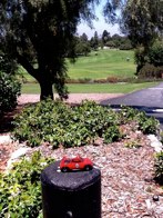 Palos Verdes CC &middot; Rancho Palos Verdes, CA &middot; July 17, 2011 &middot; Bruce Nelson