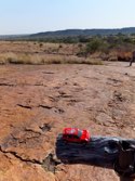 Dinosaur Tracks &middot; Namibia &middot; June 21, 2014 &middot; Ashleigh Young