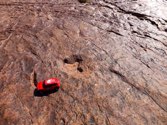 Dinosaur Tracks &middot; Namibia &middot; June 21, 2014 &middot; Ashleigh Young
