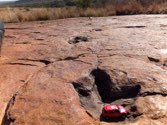 Dinosaur Tracks &middot; Namibia &middot; June 21, 2014 &middot; Ashleigh Young