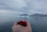 Way Up North &middot; Greenland &middot; August 26, 2014 &middot; Ken Bower