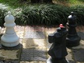 Check Mate! &middot; Costa Rica &middot; May 12, 2014 &middot; Stacy Hickman