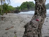 Manuel Antonio Beach &middot; Costa Rica &middot; May 15, 2014 &middot; Stacy Hickman