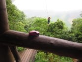 Zipline Oso Mountain &middot; Costa Rica &middot; May 14, 2014 &middot; Stacy Hickman