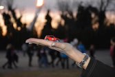 2014 Olympic Flame &middot; Sochi, Russia &middot; February 17, 2014 &middot; Trudy Burckes-Hardy