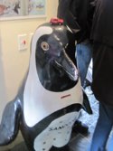 Penguin Friend &middot; Cape Town, South Africa &middot; October 11, 2013 &middot; Stacy Hickman