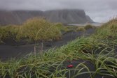 Black Beach &middot; East Fjords, Iceland &middot; August 28, 2013 &middot; Ken Bower