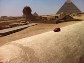 Pyramids &middot; Giza City, Egypt &middot; August 25, 2013 &middot; Adel Hassan