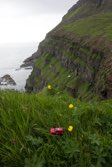 View from Gasadalur &middot; Vagar, Faroe Islands &middot; June 16, 2013 &middot; Ken Bower