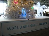 Narita Airport &middot; Tokyo, Japan &middot; December 5, 2012 &middot; Wayne & Kay Hubbard