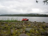 Overlooking Lake &middot; Kenmare, Ireland &middot; October 8, 2012 &middot; Christopher Harrison