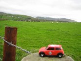 Baaaaaaah! &middot; Dingle, Ireland &middot; October 9, 2012 &middot; Christopher Harrison