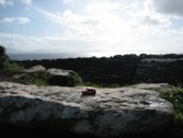 Viewing Blasket Islands &middot; Fahan, Ireland &middot; October 10, 2012 &middot; Christopher Harrison