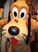 Pluto &middot; Orlando, Florida &middot; February 16, 2011 &middot; Casie Shimansky