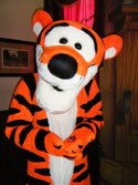 Tigger &middot; Orlando, Florida &middot; February 16, 2011 &middot; Casie Shimansky