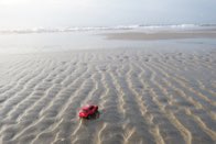 Beach Living! &middot; Myrtle Beach, South Carolina &middot; August 27, 2016 &middot; Ryan’s Mom