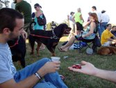 Mike @ SPCA festival New Orleans, Louisiana &middot; September 2010 &middot; Catherine Miller